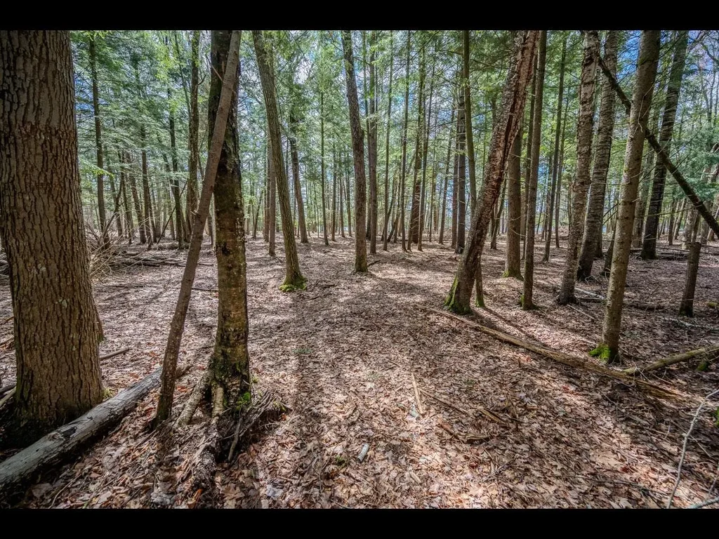 Lot 21 Bonita Pt, Three Lakes