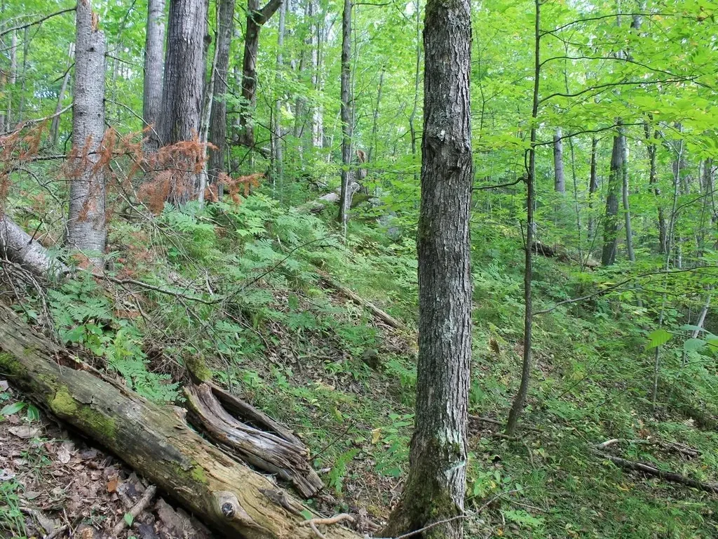 Lot 15 Alpine Dr, Hurley