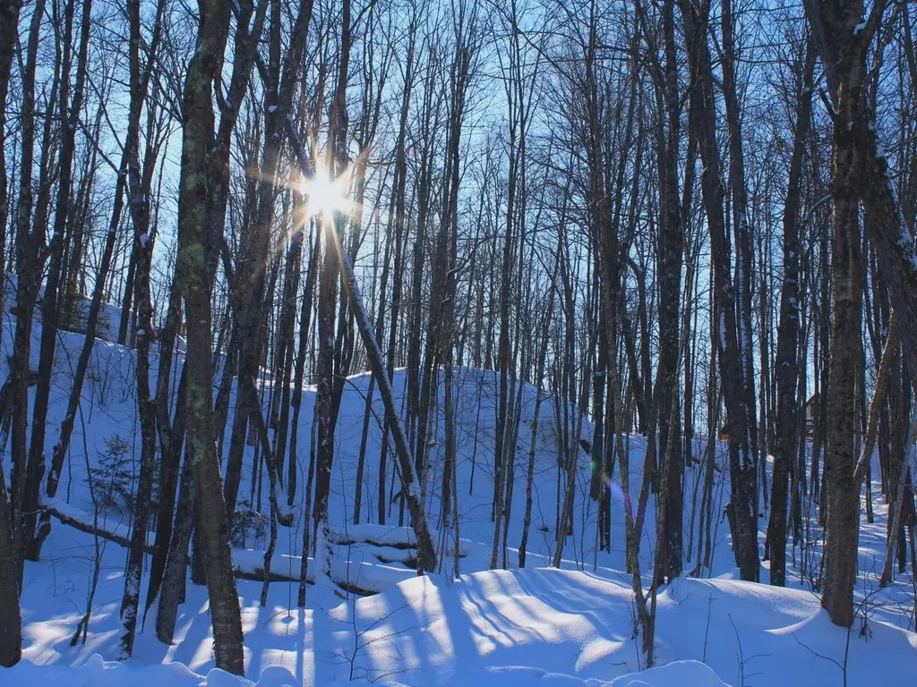 Outlot 3 Skye Dr, Upson