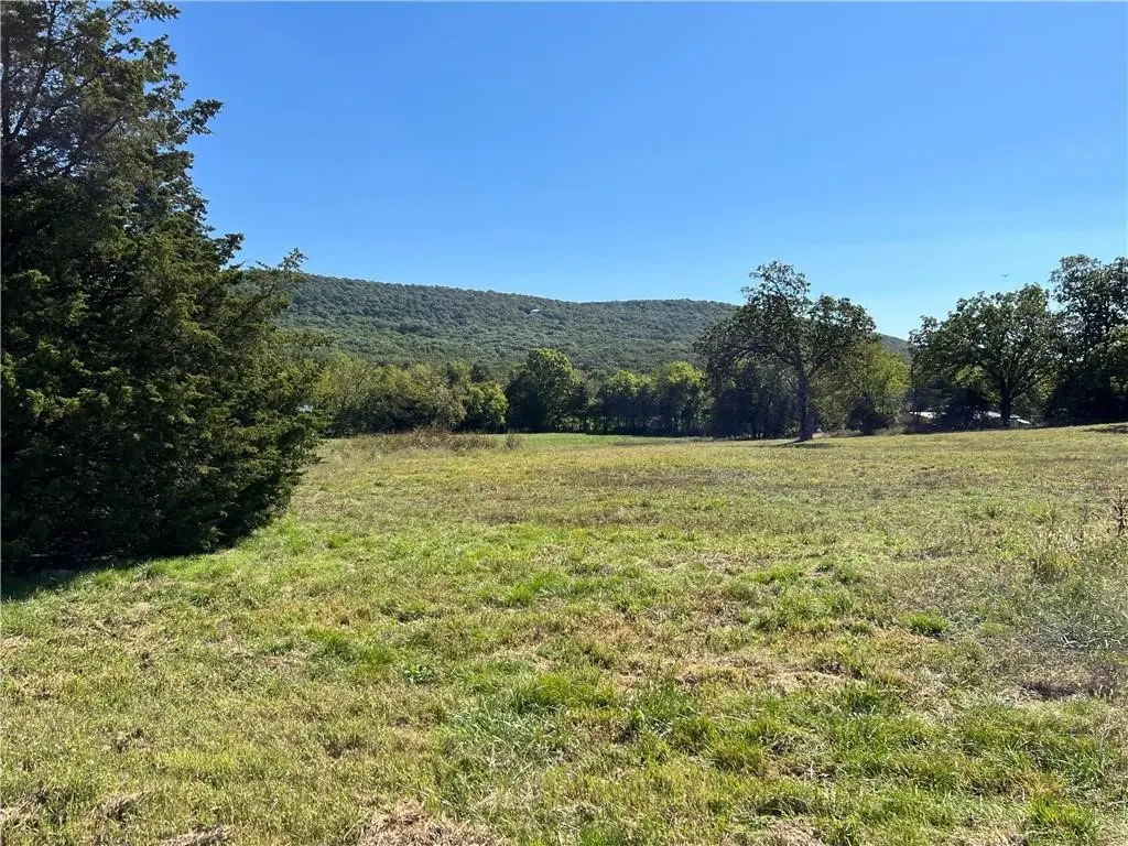 Tract 3 Highway 170, Farmington