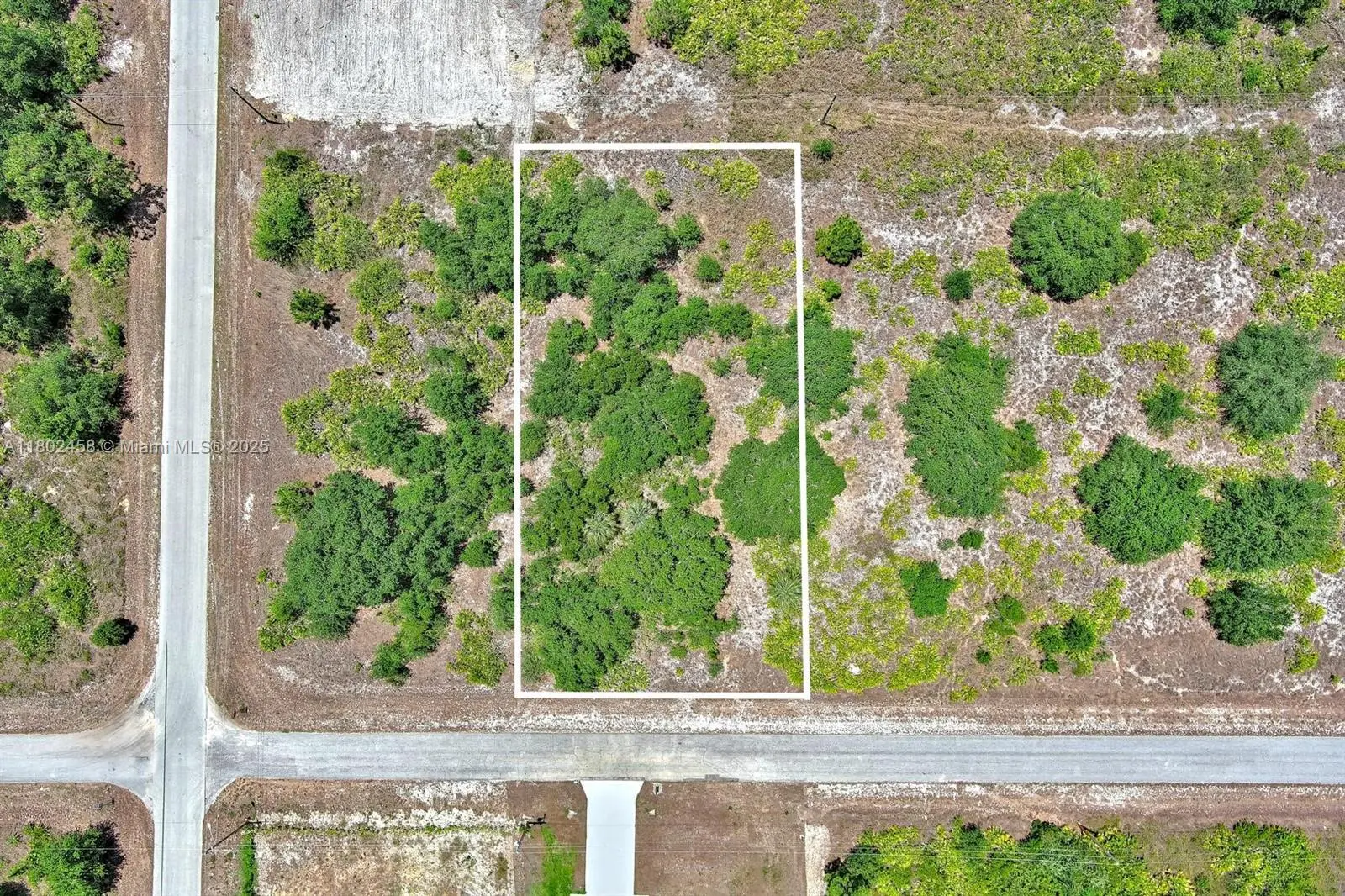 Photo of Listing #A11802458