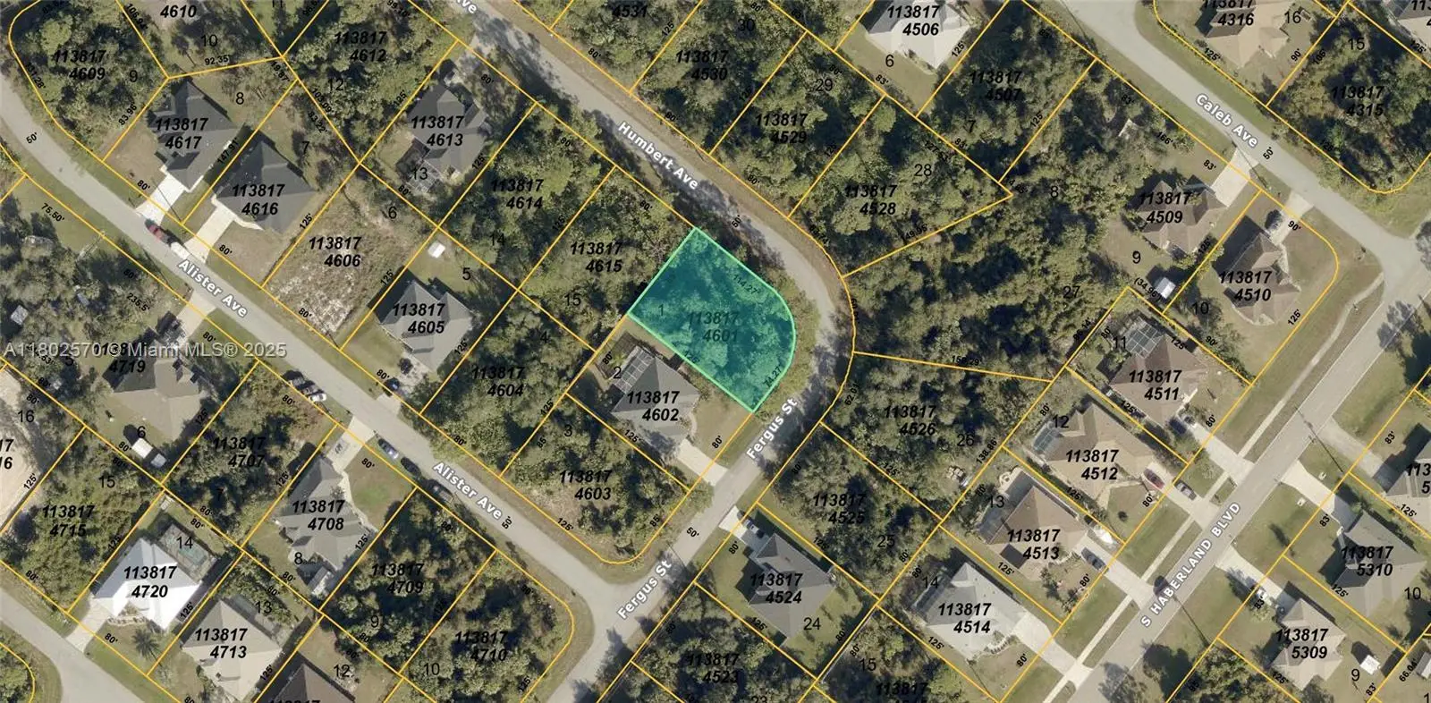 Photo of Listing #A11802570