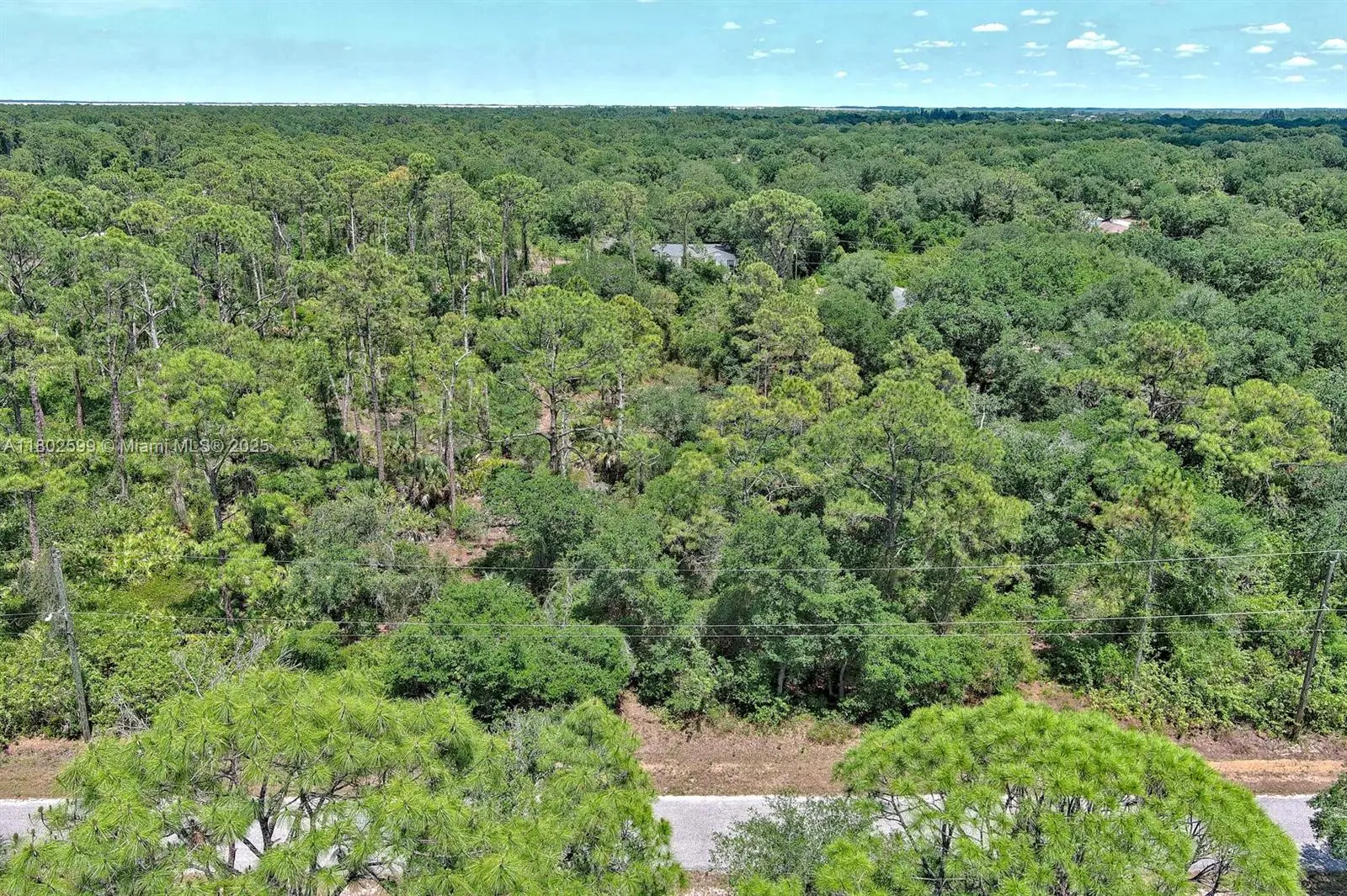 Photo of Listing #A11802599