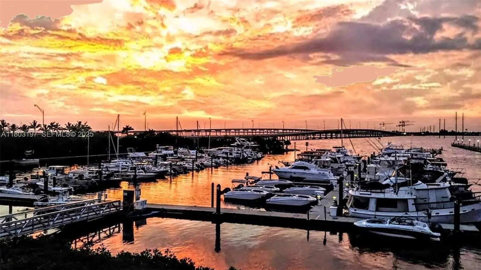 Photo of Listing #A11803197