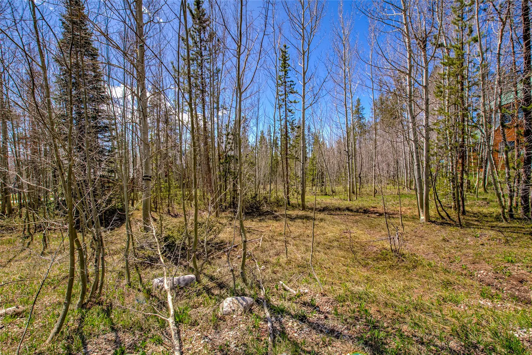 516 Royal Red Bird Drive, Silverthorne