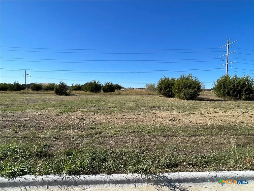 1955 Slade Drive, Salado