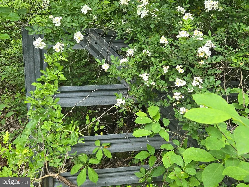 4127 Hardscrabble, Linden