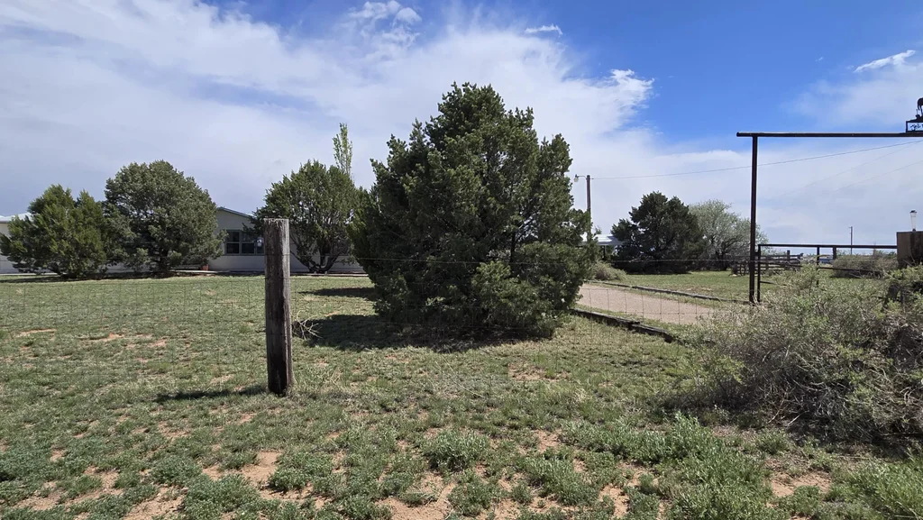 65 Sombrero Avenue, Moriarty