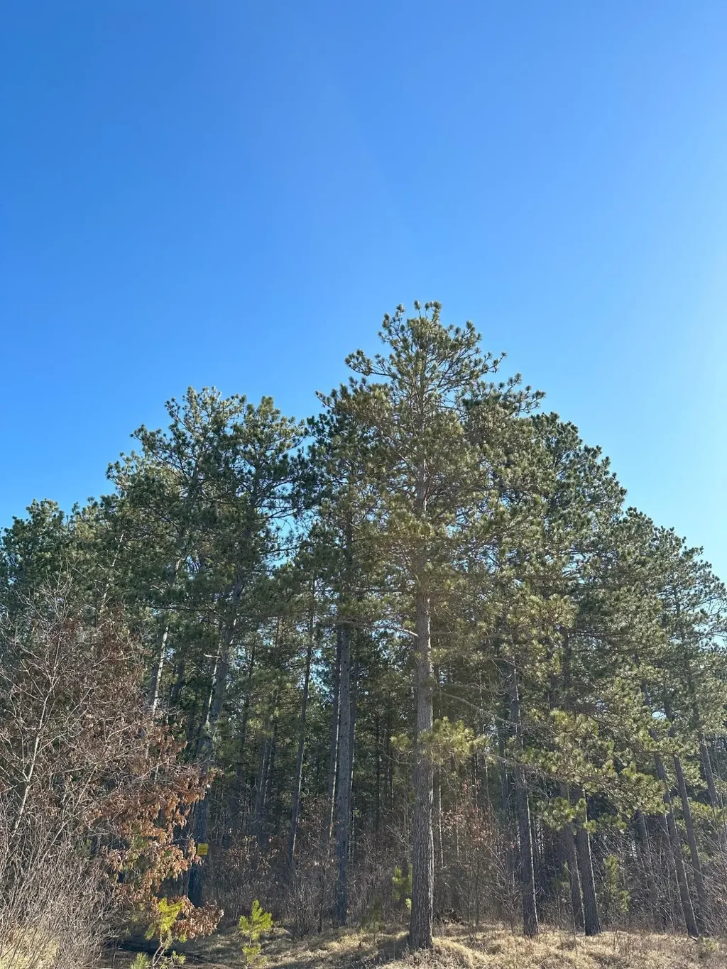 On Spring Creek Dr # 4080-4, Tomahawk