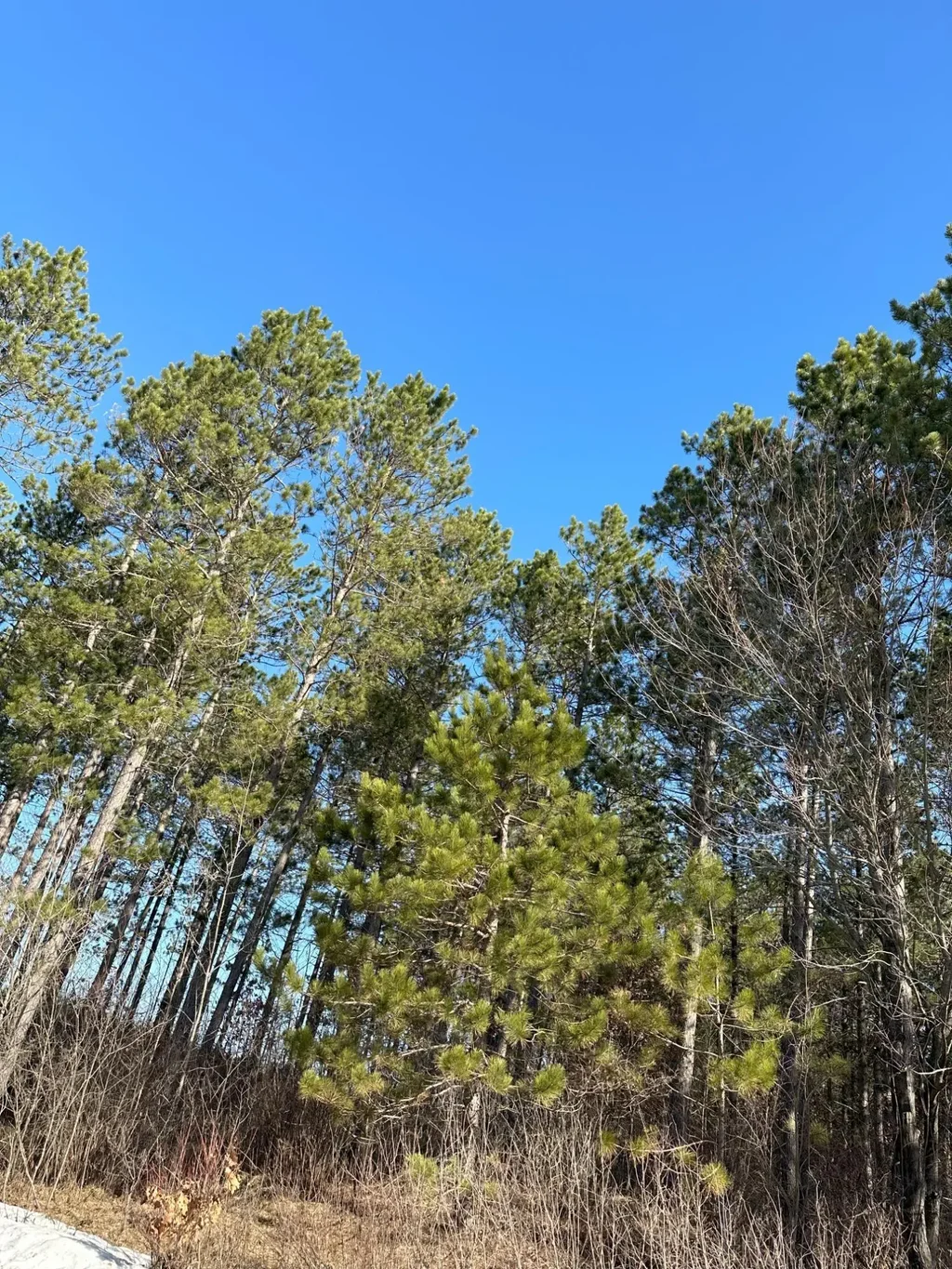 On Spring Creek Dr # 4080-6, Tomahawk