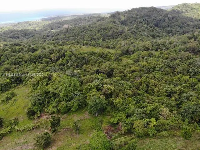 Photo of Listing #A11808238