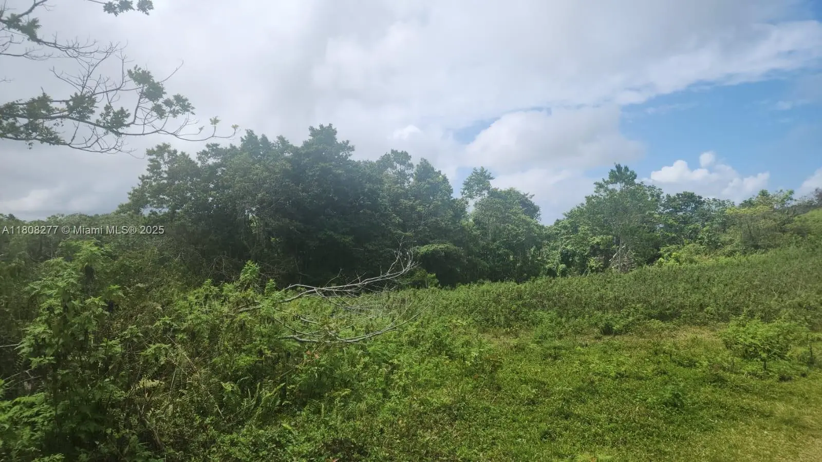 Photo of Listing #A11808277