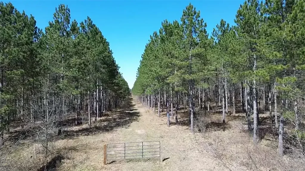 N/a Ellison Lake Road, Barnes