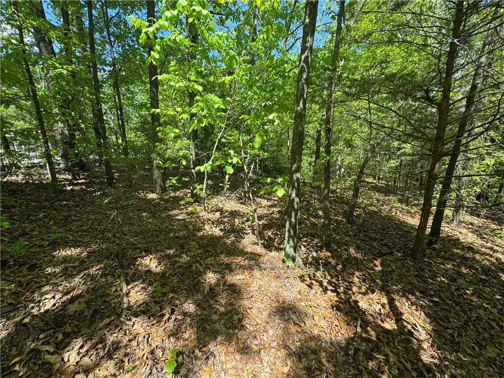 County Road 3216, Clarksville