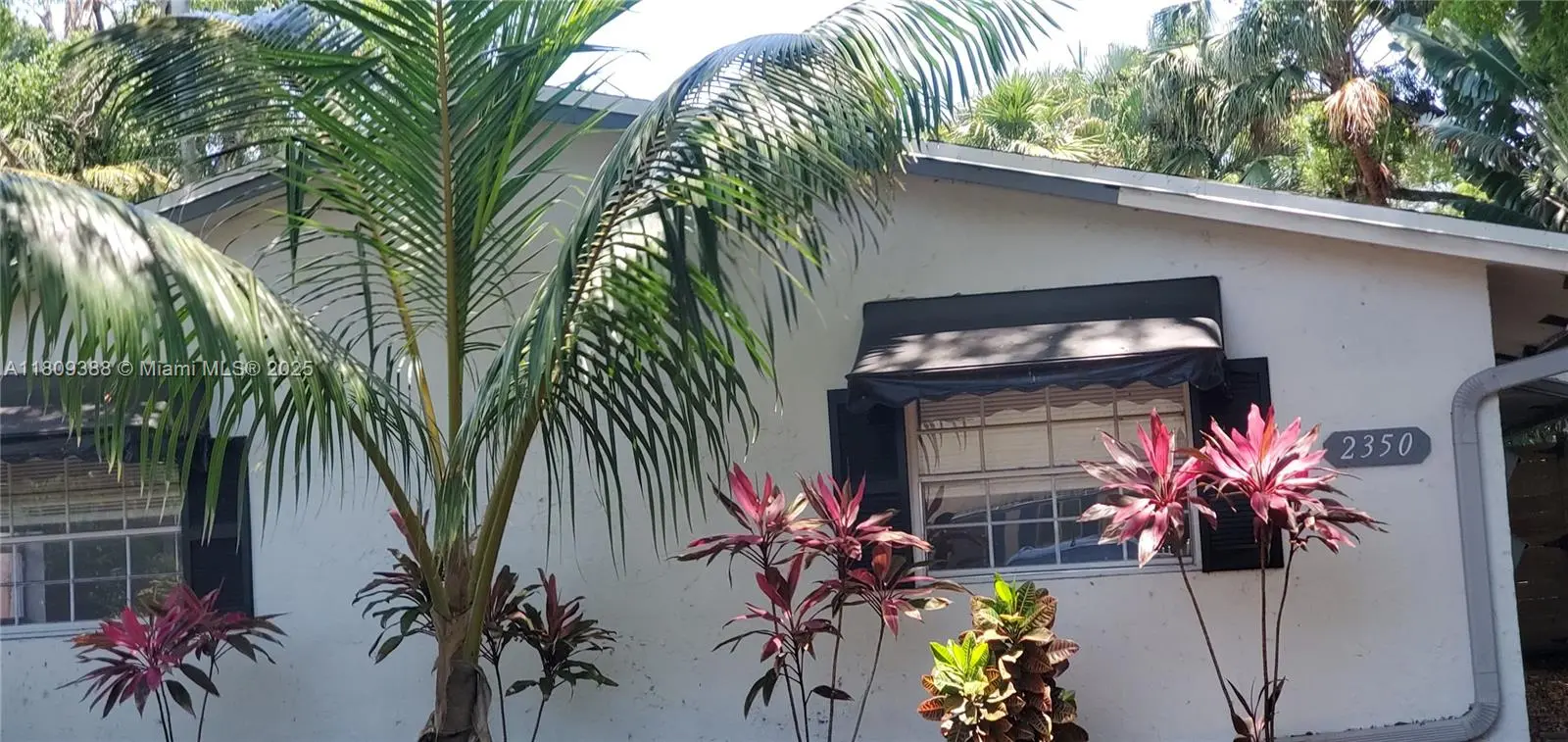 Photo of Listing #A11809388