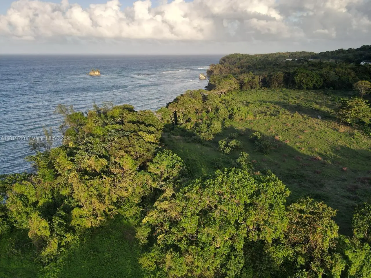 Photo of Listing #A11811510