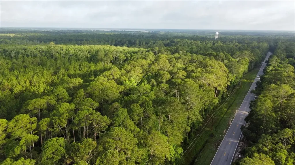 5554 Ga Hwy 99 Highway, Townsend