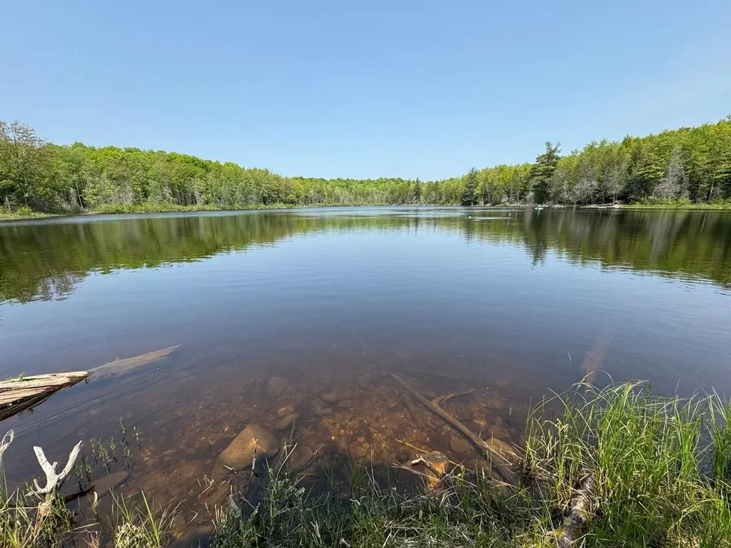 8677n Davis Rd, Mercer