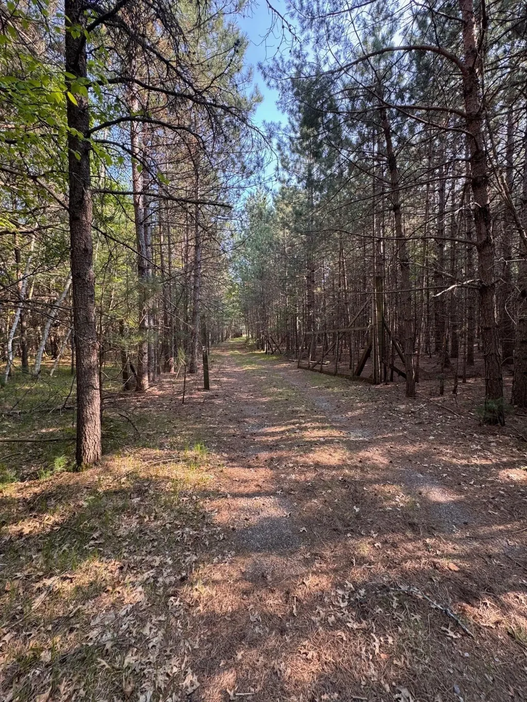 9851 Country Ln, Woodruff