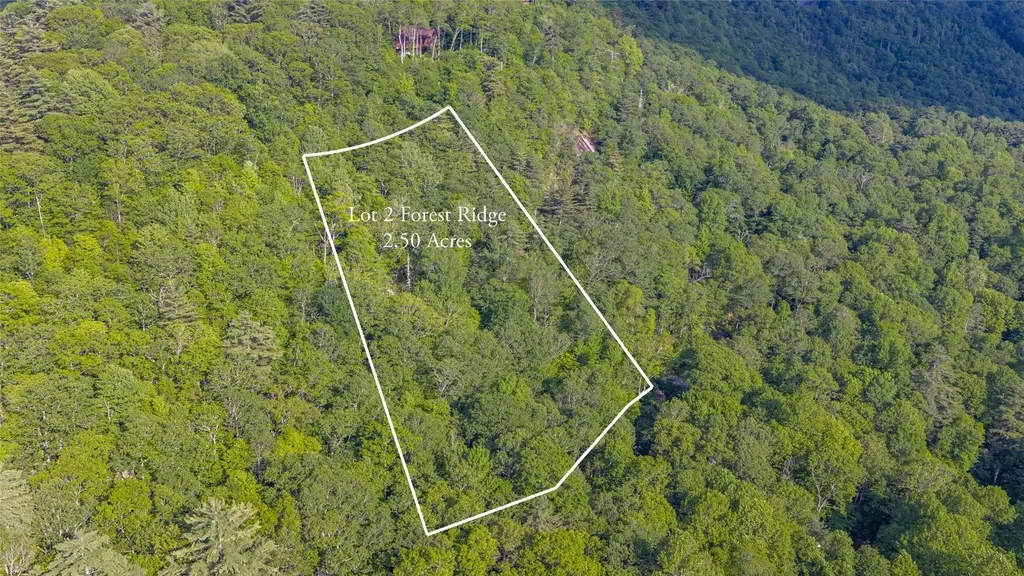 Lt Forest Ridge, Cashiers