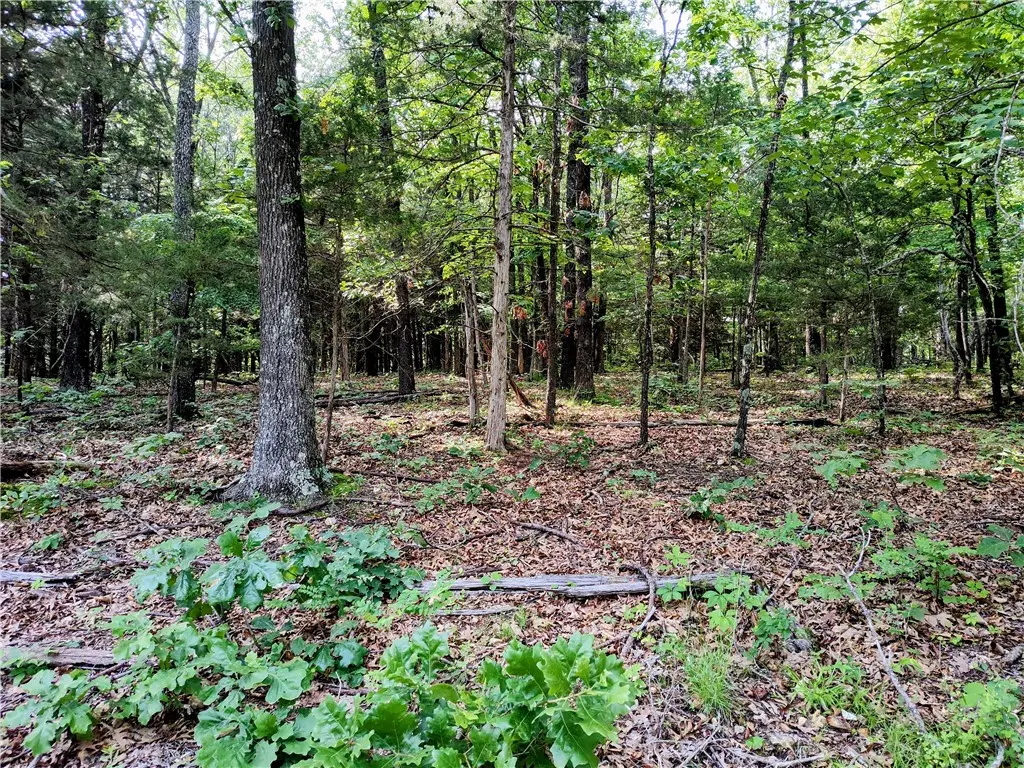 Taylor Barnett Road, Garfield