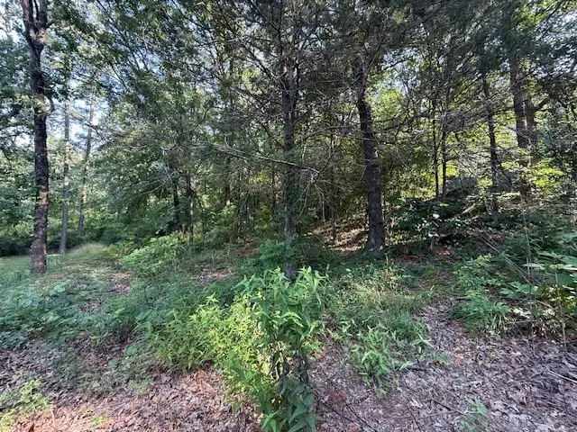 Needles Court, Dardanelle