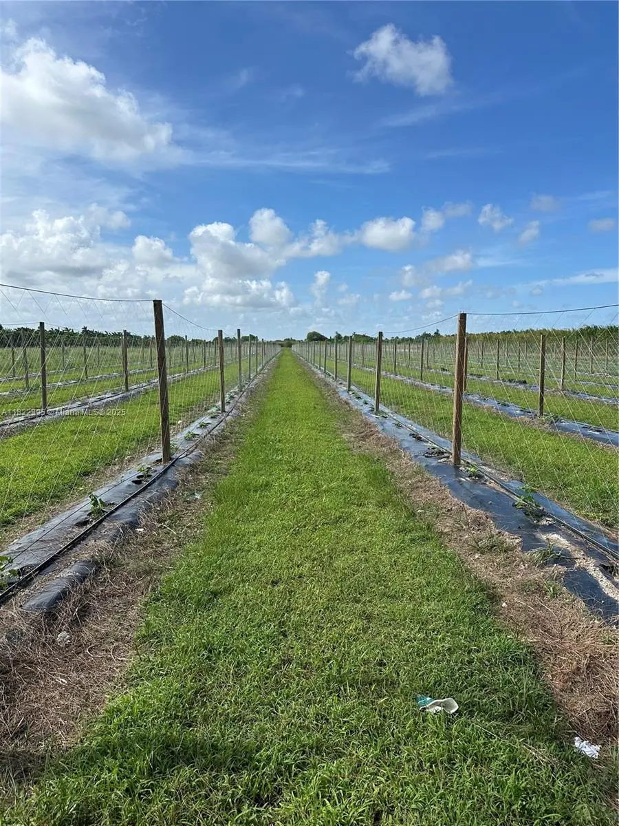 Photo of Listing #A11822395