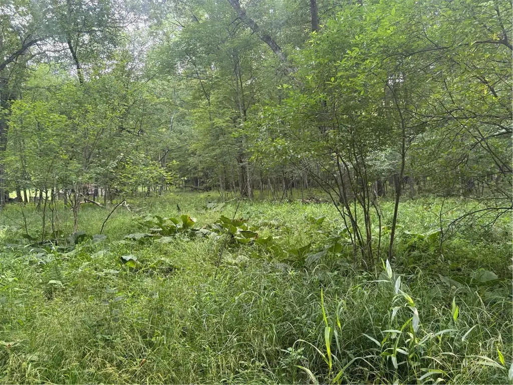 Lot #1 Stone Lane, Washington