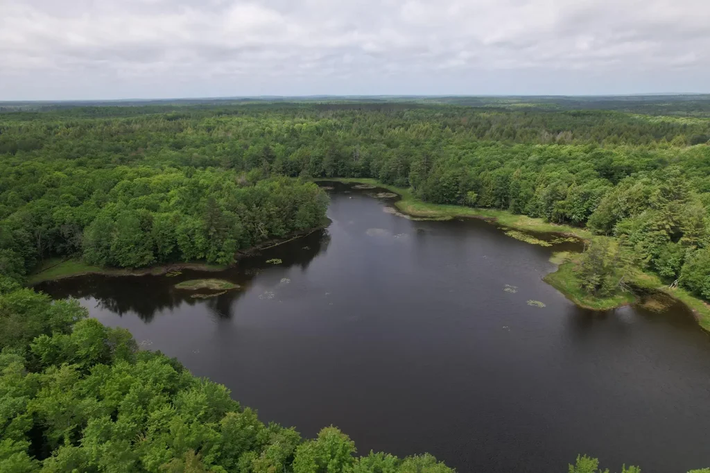 On Camp K Rd # 76.95 Ac, Glidden