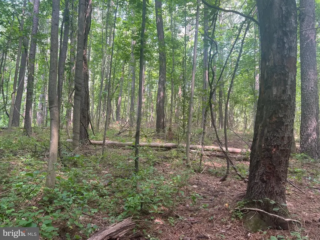 Thornton Gap Church Road, Sperryville