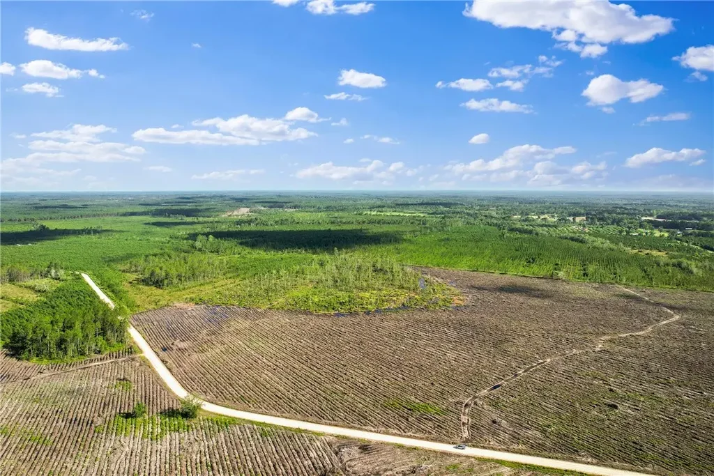 Tract 1 Morris Break Road, Odum