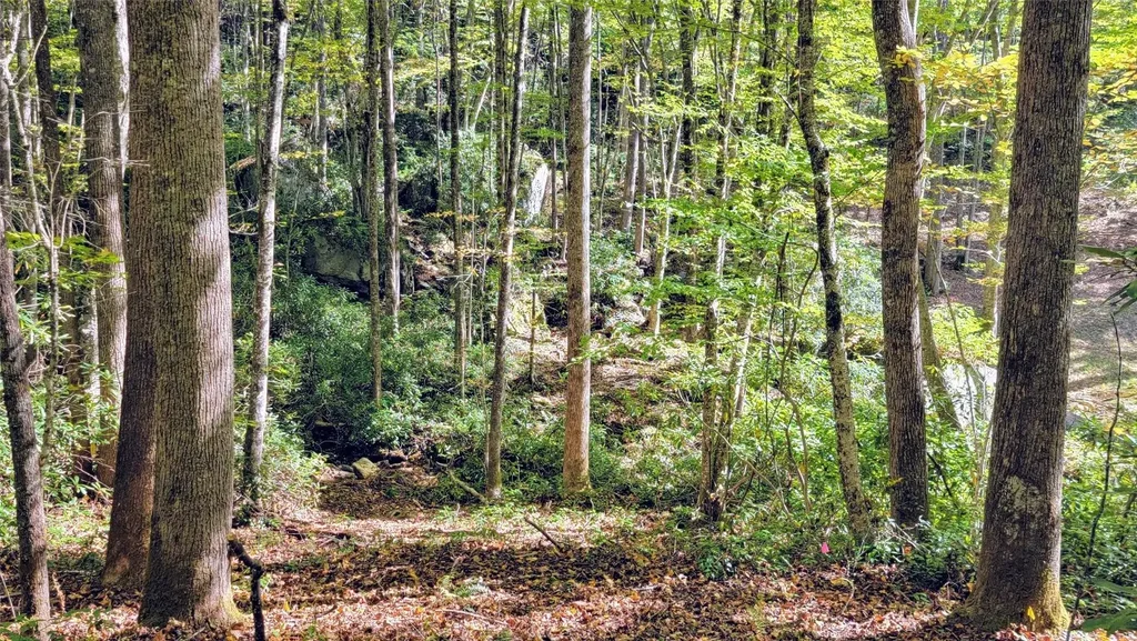 Lot P Spikemoss Road, Sapphire