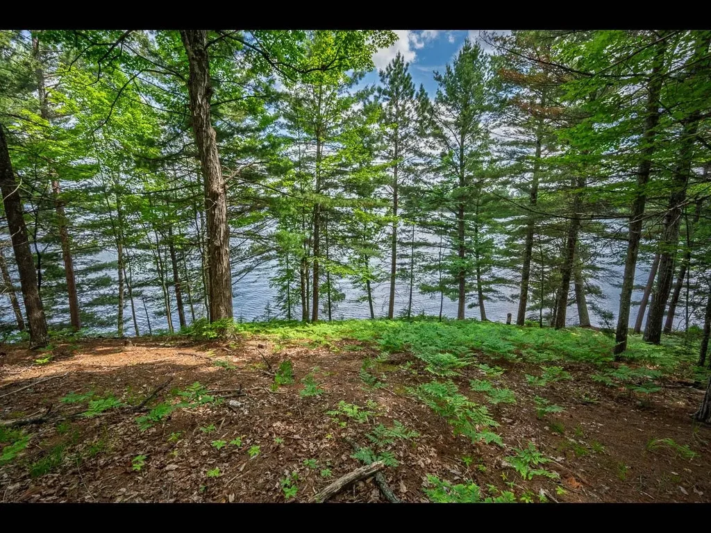Lot 134 Clearwater Lake Tr, Eagle River