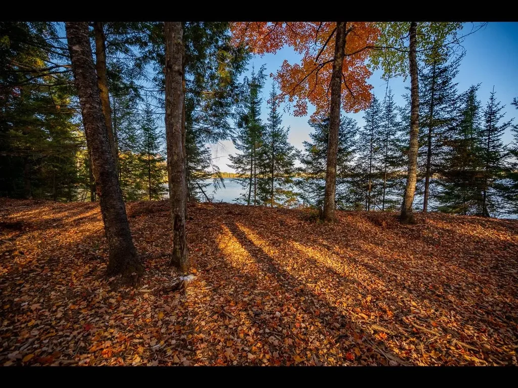 Lot 137 Clearwater Lake Tr, Eagle River