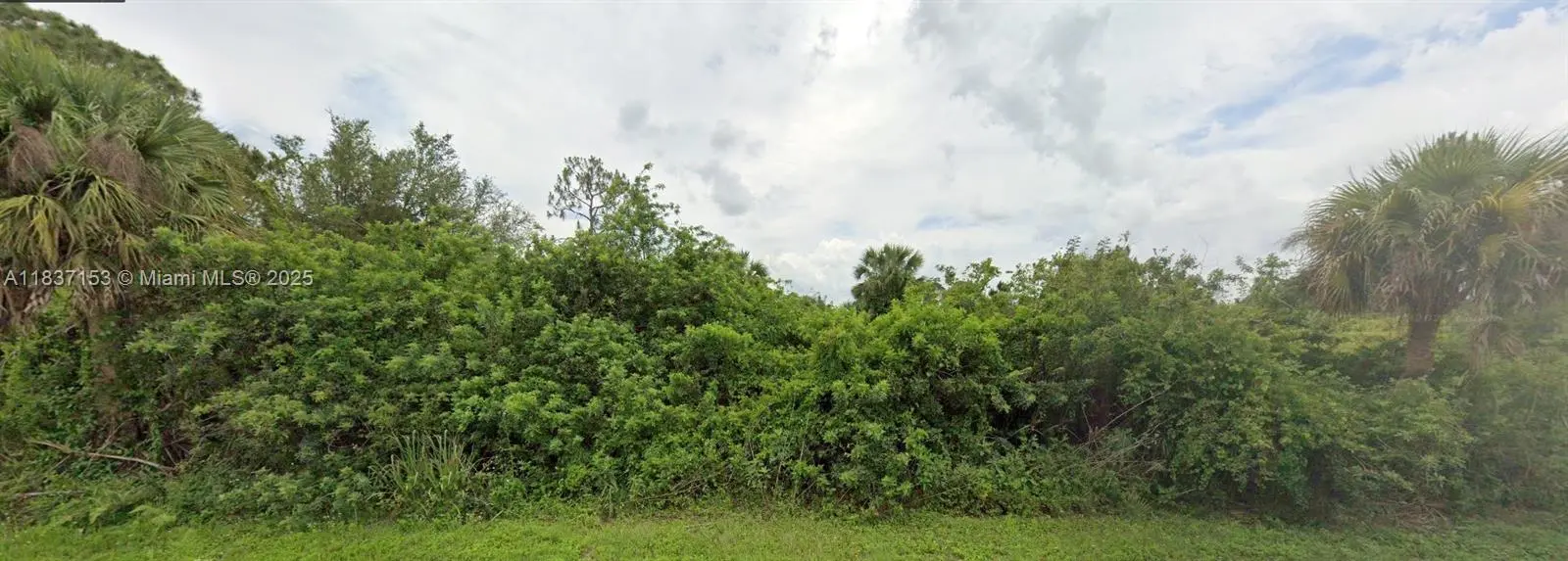 Photo of Listing #A11837153