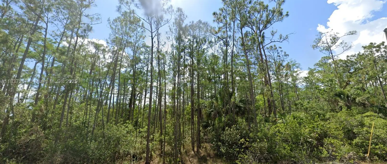 Photo of Listing #A11837257