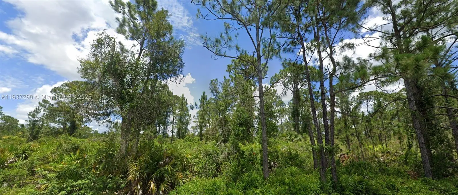 Photo of Listing #A11837290