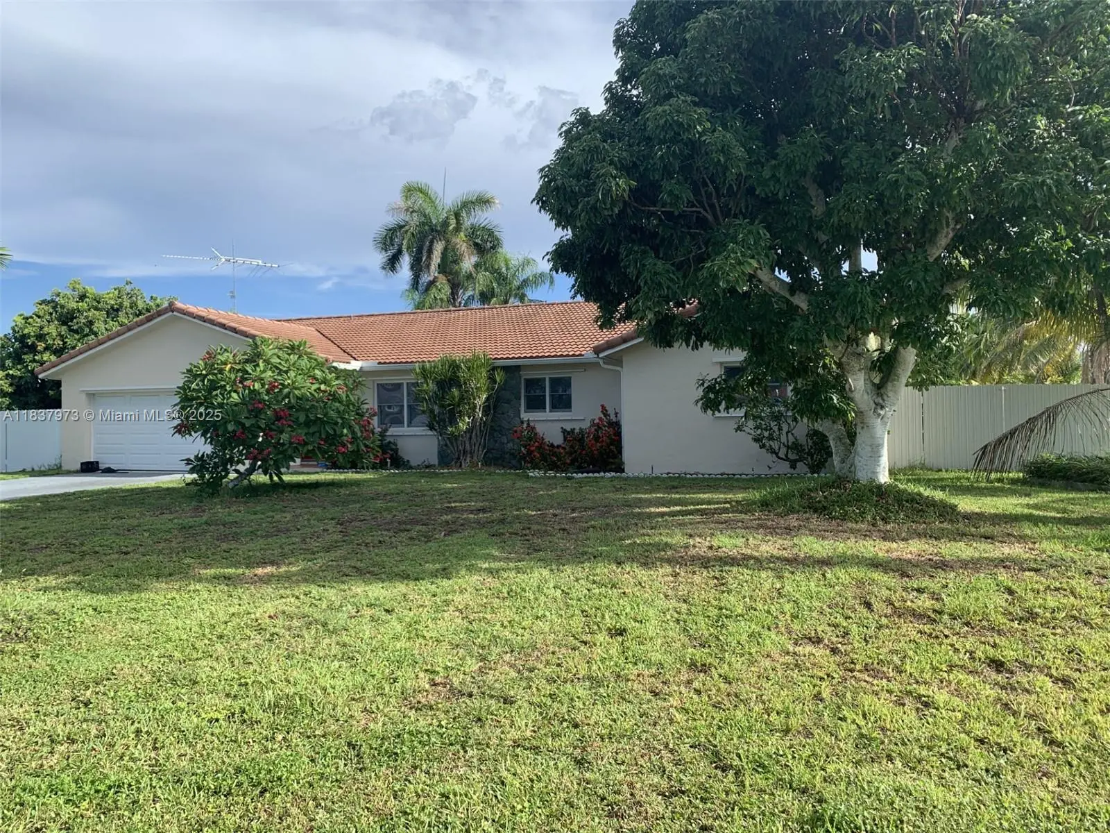 Photo of Listing #A11837973