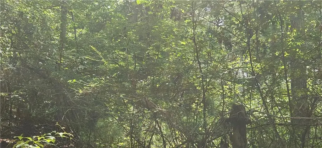 29 Azalea Loop, Pittsview