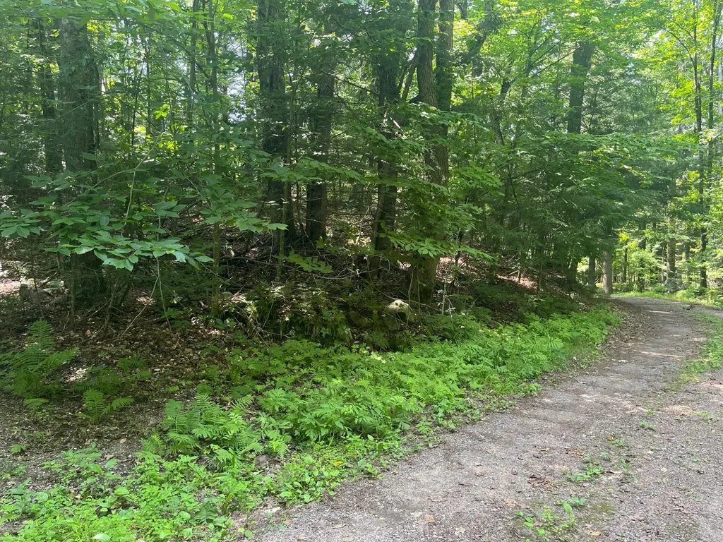 17197 Patti Ln, Lakewood