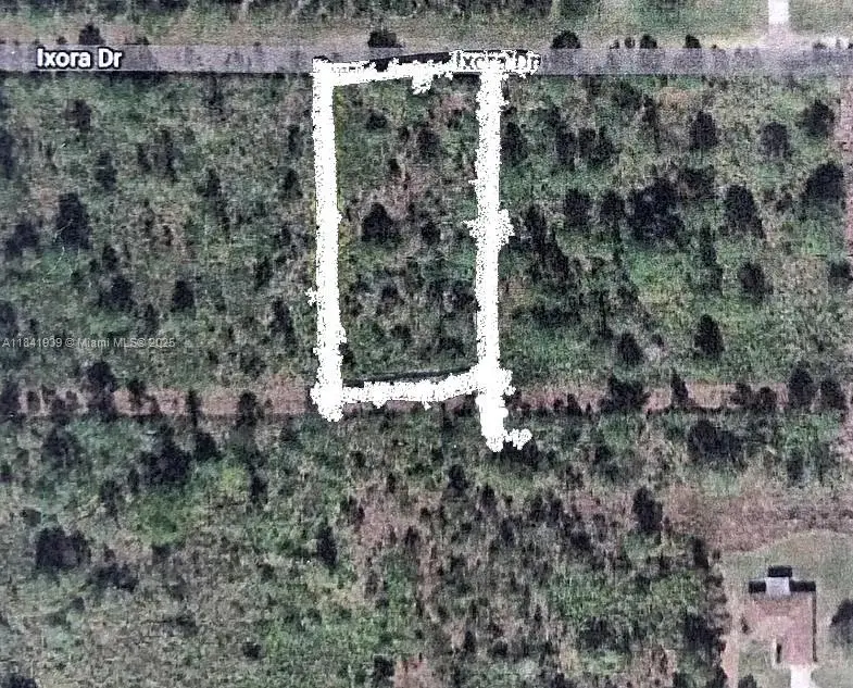 Photo of Listing #A11841939