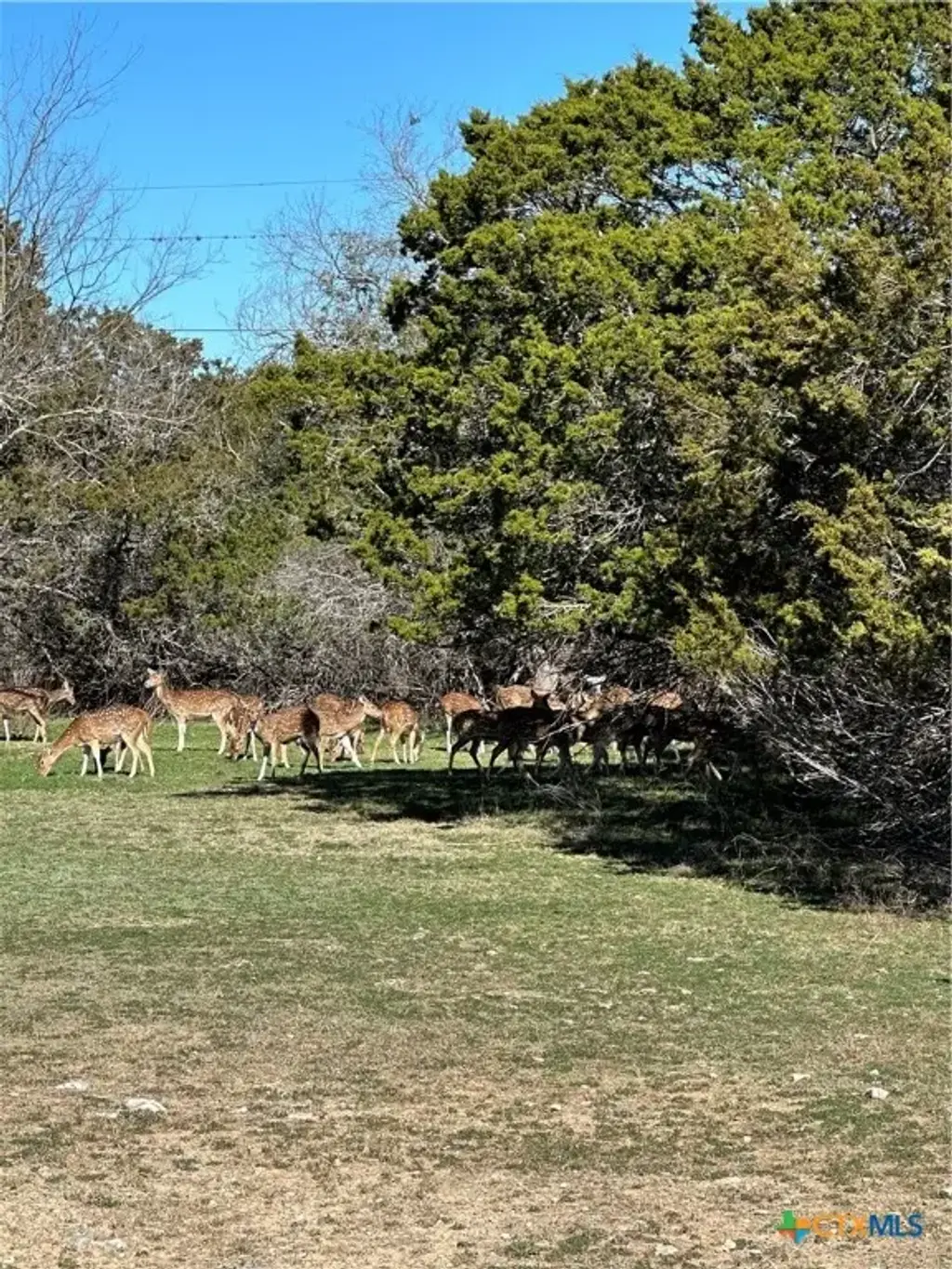 Deerwood Circle, Bandera
