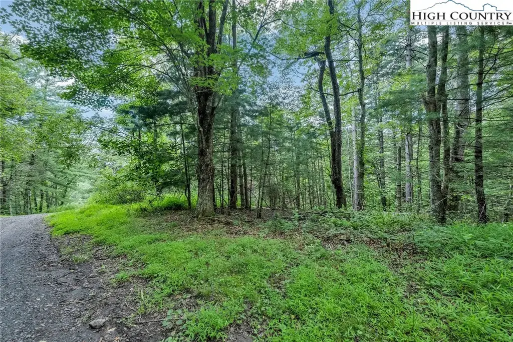 Lot 73 Buckland Road, Grassy Creek