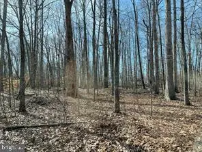 7120 Dominique Dr, Spotsylvania