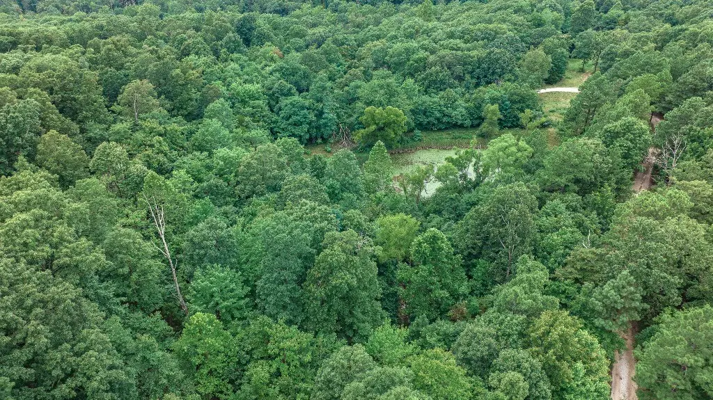 14159 Low Gap Wc 100 Road, West Fork