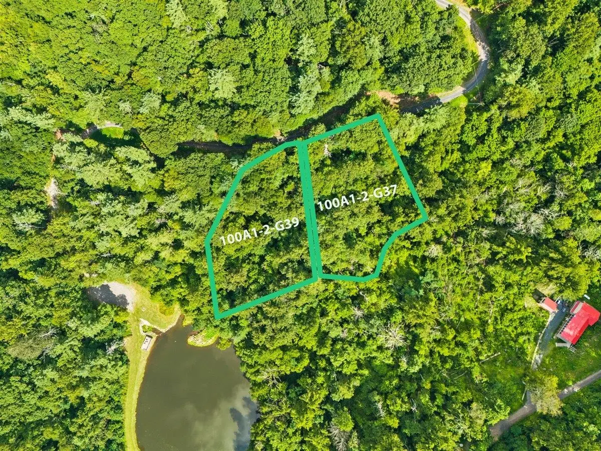 Lots G37 & G3 Lake Rd, Stanley