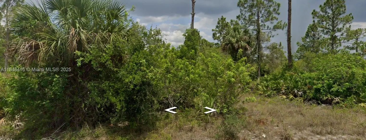 Photo of Listing #A11848416