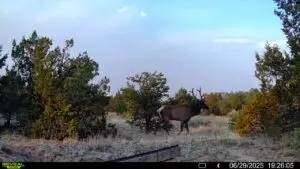 83 Bear Valley Road,, Ramah