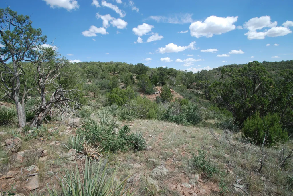 9 Escondida, Sandia Park