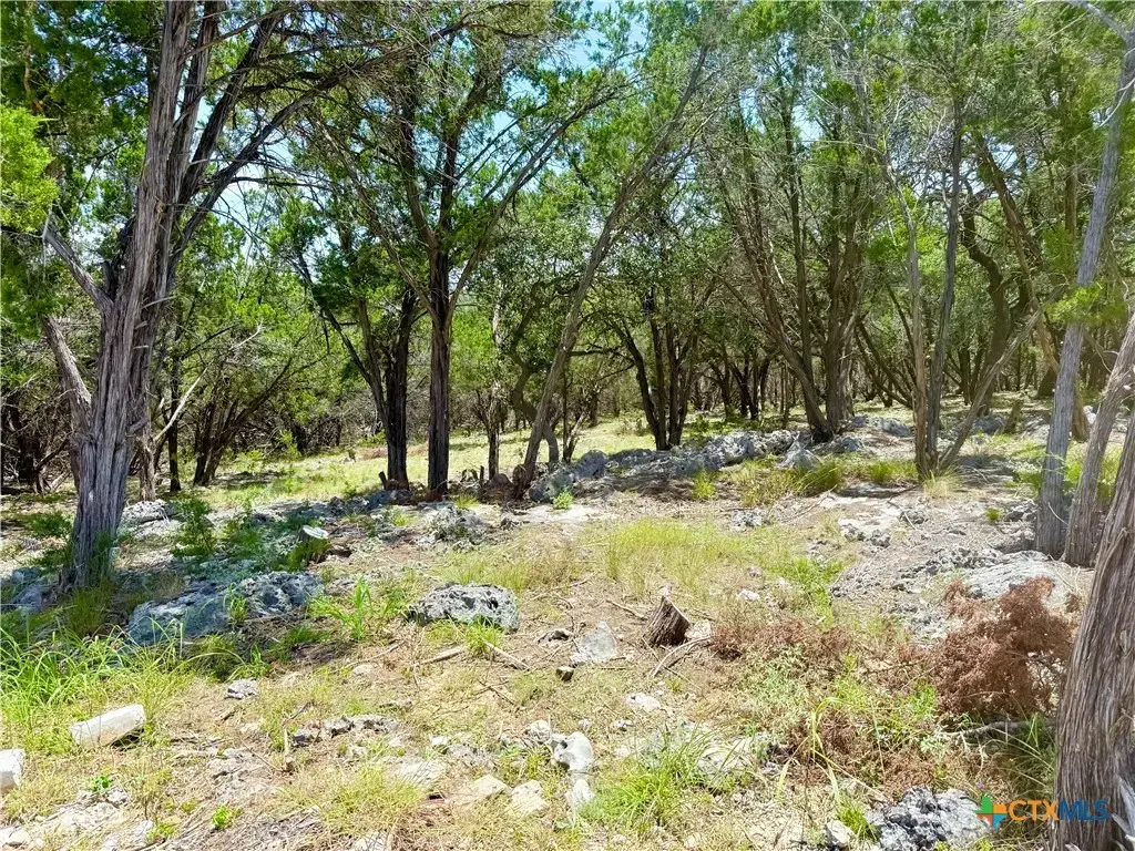 5663 Basilone Ridge, New Braunfels